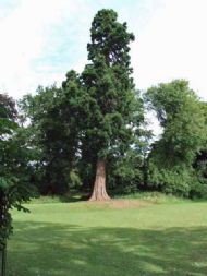 Ellesmere, Shropshire